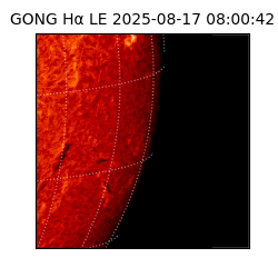 gong - 2025-08-17T08:00:42