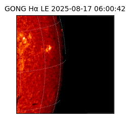 gong - 2025-08-17T06:00:42