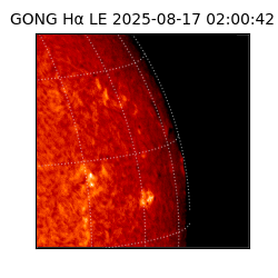gong - 2025-08-17T02:00:42