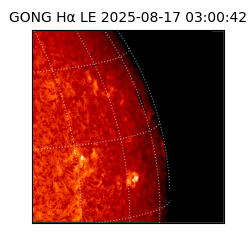gong - 2025-08-17T03:00:42