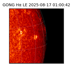 gong - 2025-08-17T01:00:42