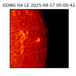 gong - 2025-08-17T05:00:42