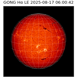 gong - 2025-08-17T06:00:42