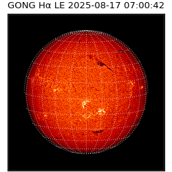 gong - 2025-08-17T07:00:42