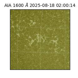 saia - 2025-08-18T02:00:14.125000