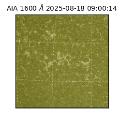 saia - 2025-08-18T09:00:14.126000