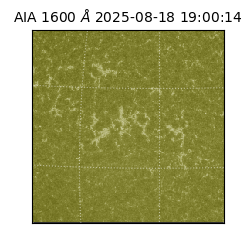 saia - 2025-08-18T19:00:14.125000