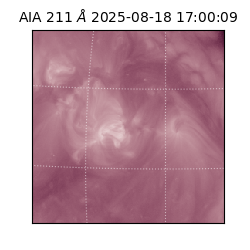 saia - 2025-08-18T17:00:09.626000