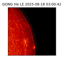 gong - 2025-08-18T03:00:42