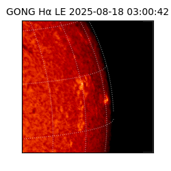 gong - 2025-08-18T03:00:42