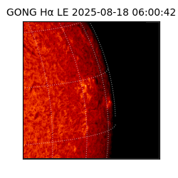 gong - 2025-08-18T06:00:42