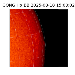 gong - 2025-08-18T15:03:02