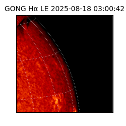 gong - 2025-08-18T03:00:42