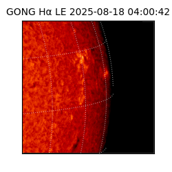 gong - 2025-08-18T04:00:42