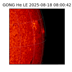 gong - 2025-08-18T08:00:42
