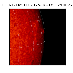 gong - 2025-08-18T12:00:22