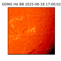 gong - 2025-08-18T17:00:02