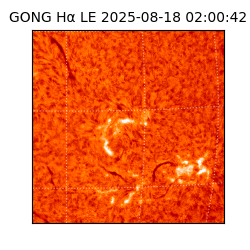 gong - 2025-08-18T02:00:42
