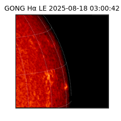 gong - 2025-08-18T03:00:42