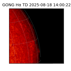 gong - 2025-08-18T14:00:22