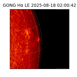 gong - 2025-08-18T02:00:42
