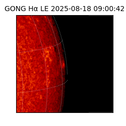 gong - 2025-08-18T09:00:42