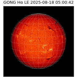 gong - 2025-08-18T05:00:42
