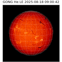 gong - 2025-08-18T09:00:42