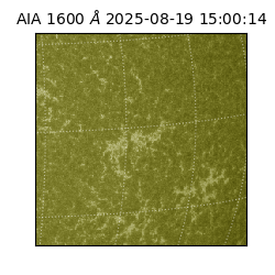 saia - 2025-08-19T15:00:14.125000
