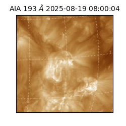 saia - 2025-08-19T08:00:04.843000