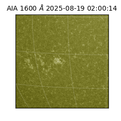 saia - 2025-08-19T02:00:14.125000