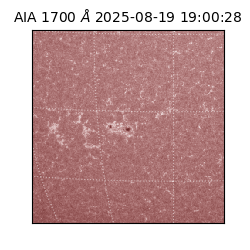 saia - 2025-08-19T19:00:28.717000