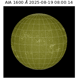 saia - 2025-08-19T08:00:14.125000