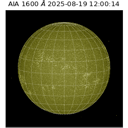 saia - 2025-08-19T12:00:14.126000