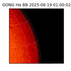 gong - 2025-08-19T01:00:02