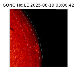 gong - 2025-08-19T03:00:42