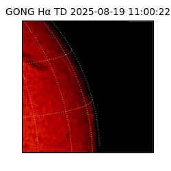 gong - 2025-08-19T11:00:22