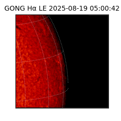 gong - 2025-08-19T05:00:42