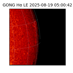 gong - 2025-08-19T05:00:42