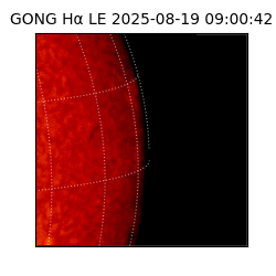 gong - 2025-08-19T09:00:42