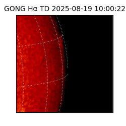 gong - 2025-08-19T10:00:22