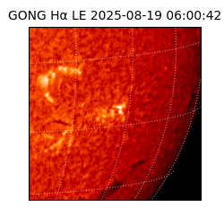 gong - 2025-08-19T06:00:42
