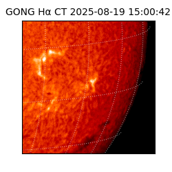 gong - 2025-08-19T15:00:42