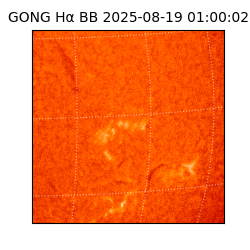 gong - 2025-08-19T01:00:02