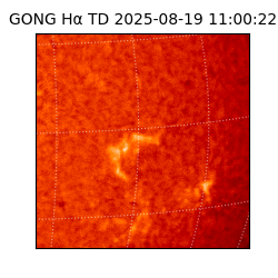 gong - 2025-08-19T11:00:22