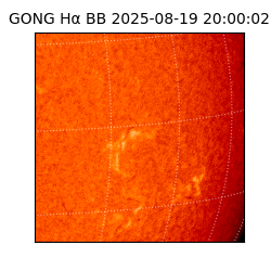 gong - 2025-08-19T20:00:02