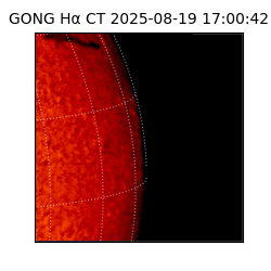 gong - 2025-08-19T17:00:42