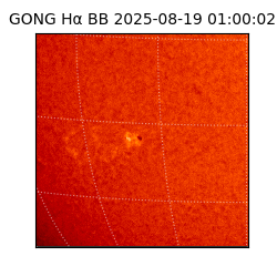 gong - 2025-08-19T01:00:02