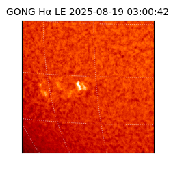 gong - 2025-08-19T03:00:42