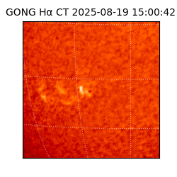 gong - 2025-08-19T15:00:42